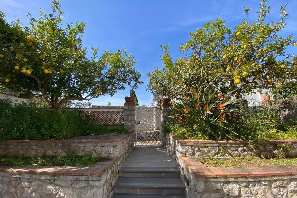 I Limoni Casa vacanze